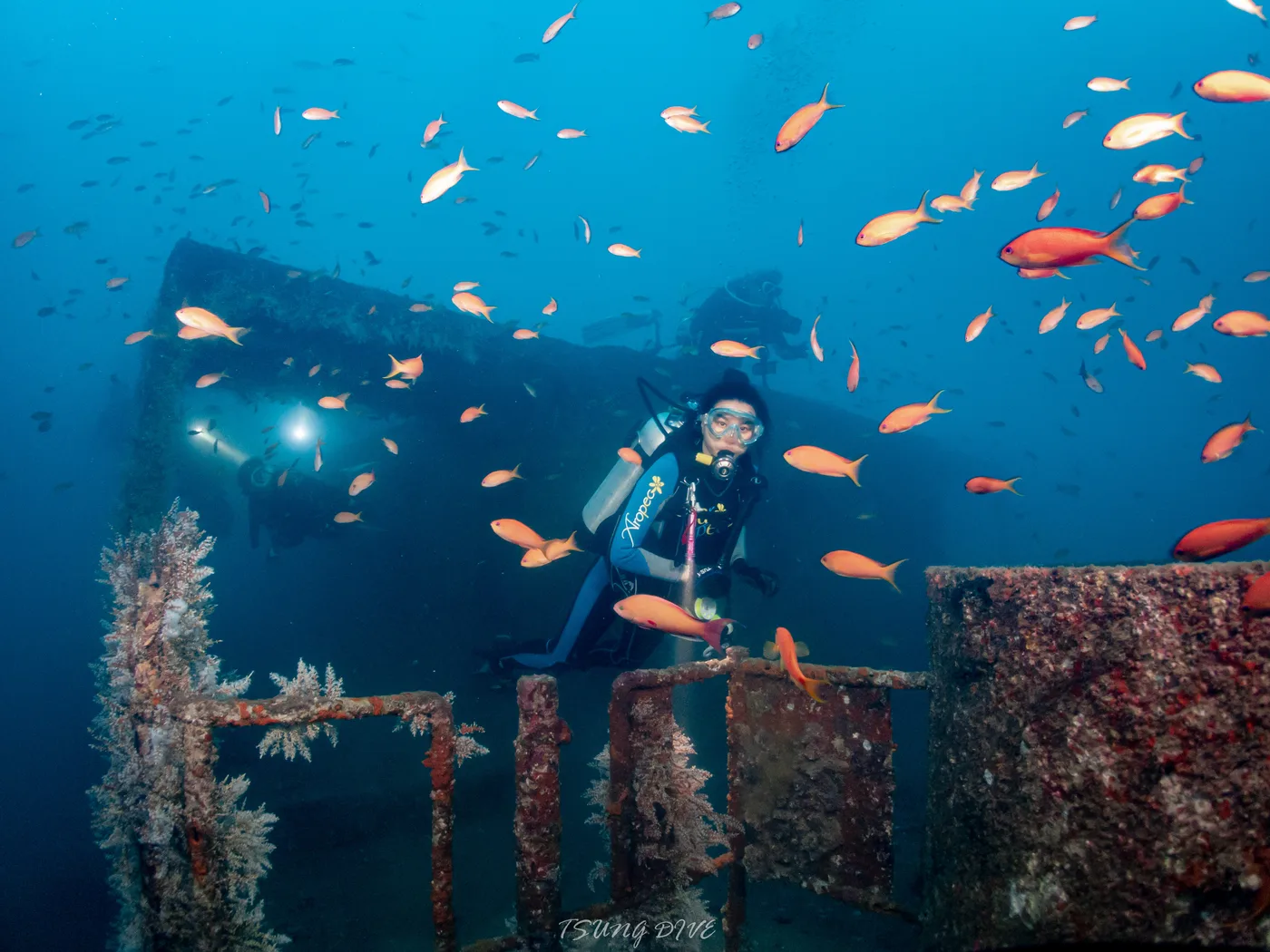 潛水員在沉船結構旁與橘色魚群相遇